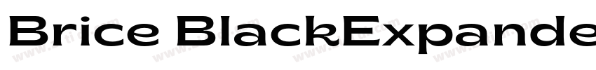 Brice BlackExpanded字体转换